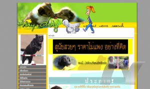 ลาบราดอร์ ศูนย์จำหน่ายและฝึกสุนัขจังหวัดราชบุรี