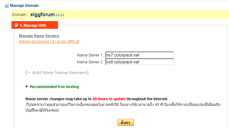 แก้ไข ns domain