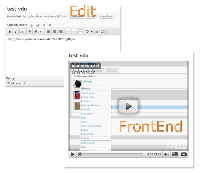 Wordpress 2.9 Video Embed