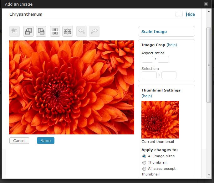 Wordpress 2.9 Image Edit